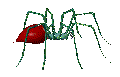 aranya imatges-animades-gif